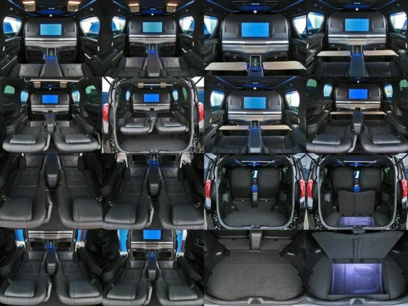 ALPHARD-18