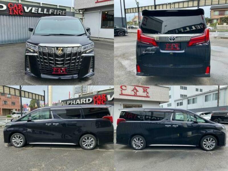 ALPHARD-8