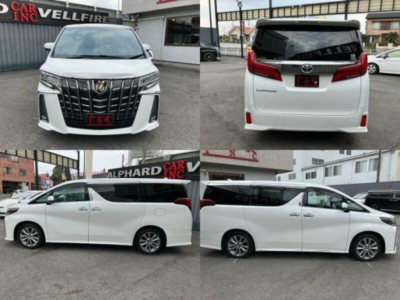 ALPHARD-8