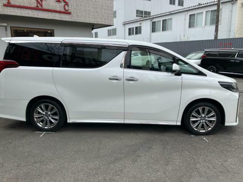 ALPHARD-11