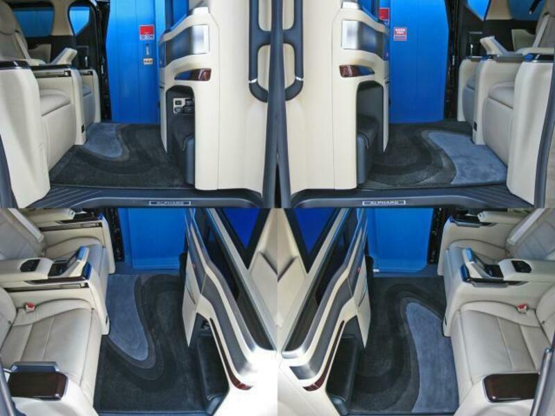 ALPHARD-16