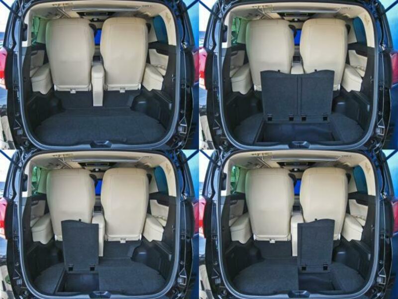ALPHARD-19