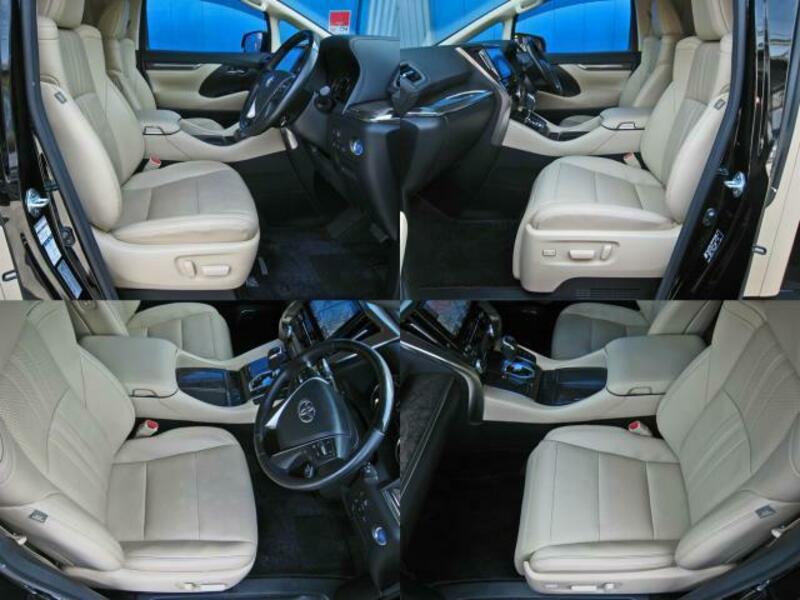 ALPHARD-13