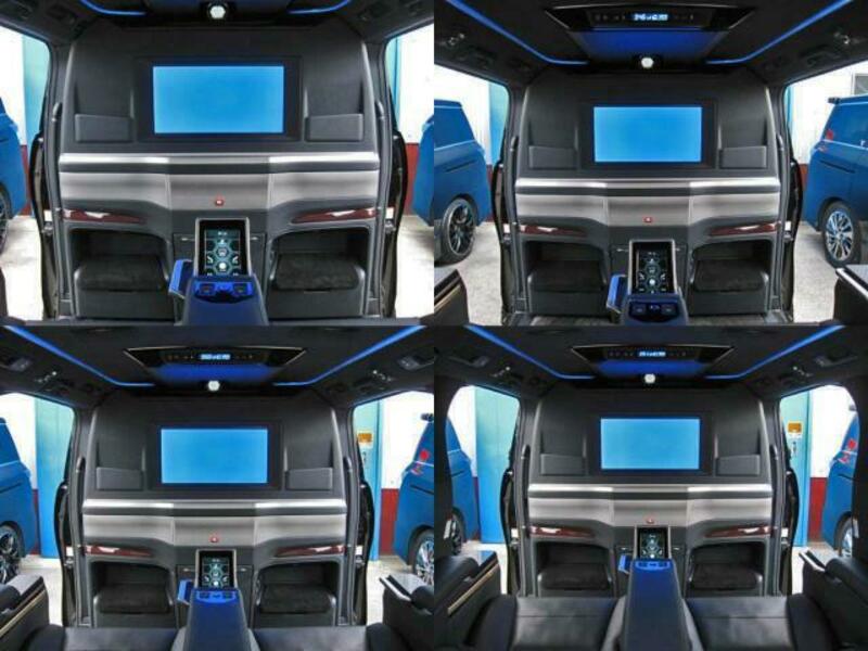 ALPHARD-10