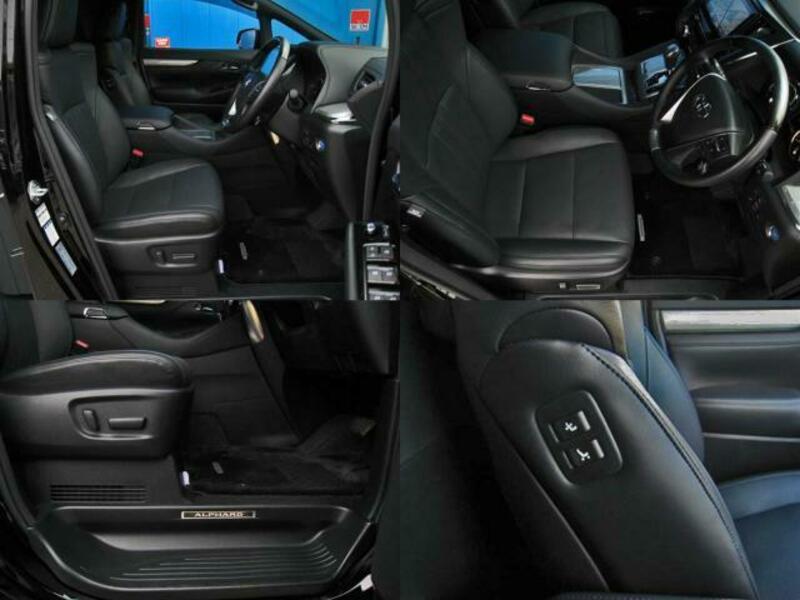 ALPHARD-13