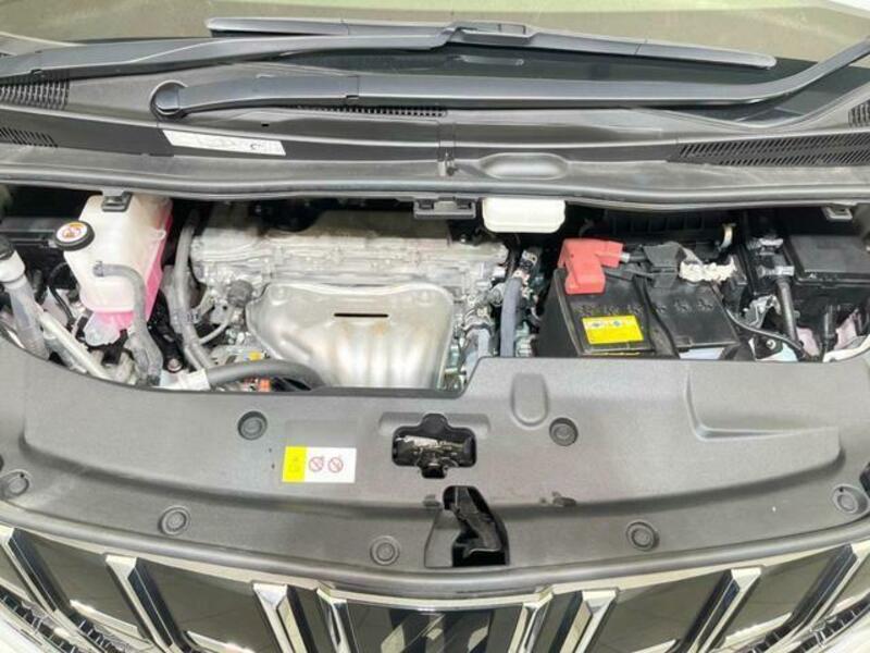 ALPHARD-19