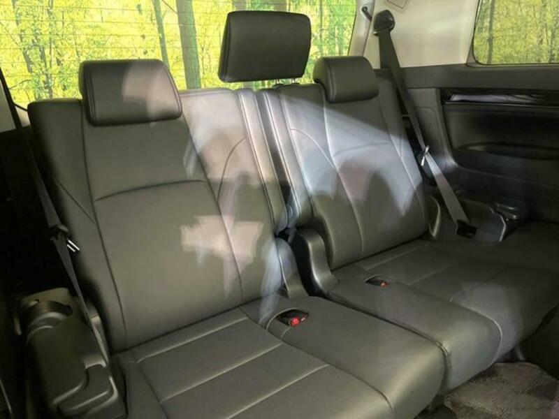 ALPHARD-11