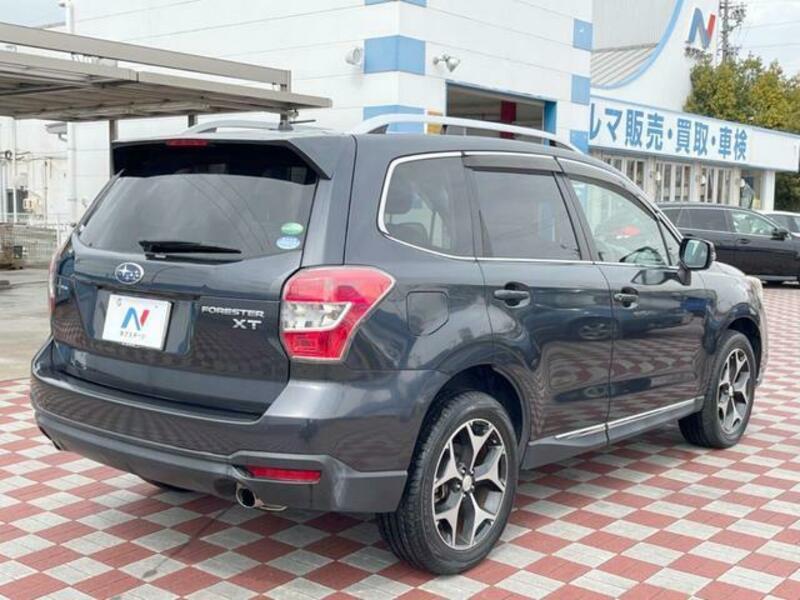 FORESTER-16