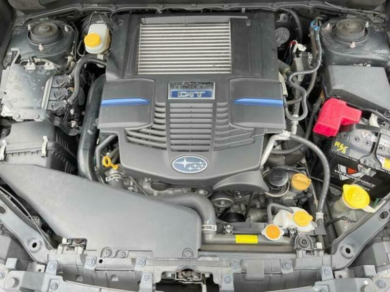 FORESTER-17