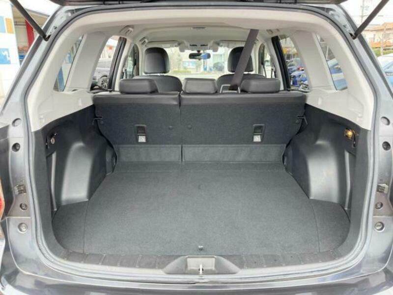 FORESTER-9