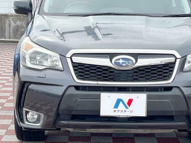 FORESTER-11
