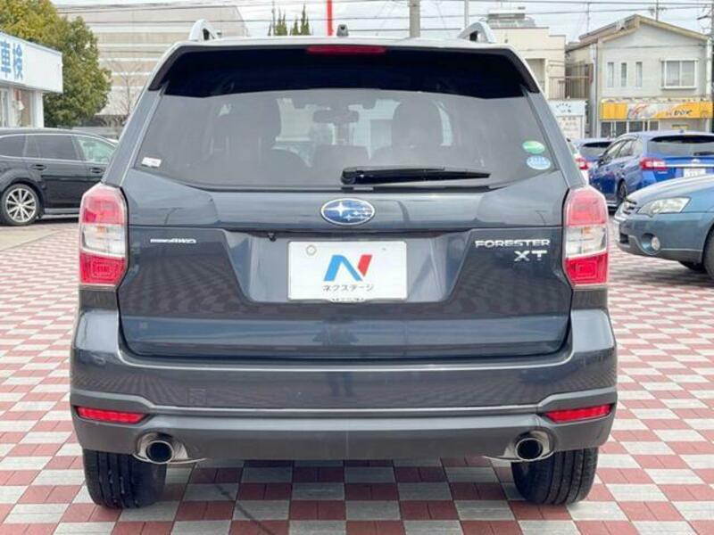 FORESTER-14