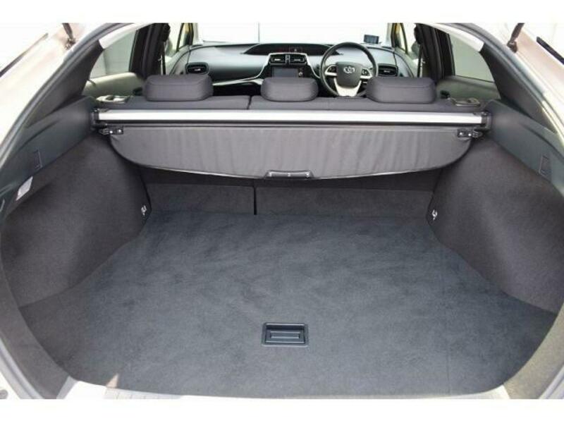 PRIUS-19
