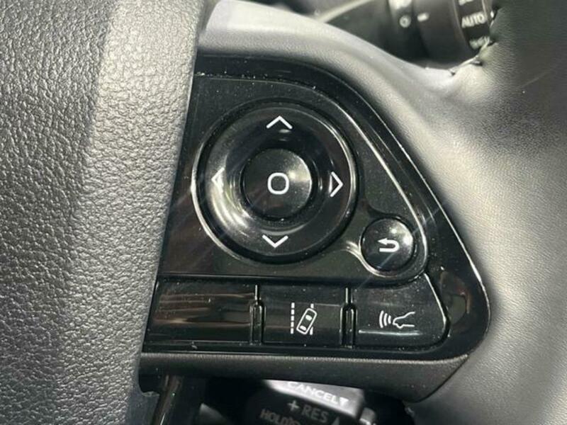 PRIUS-4