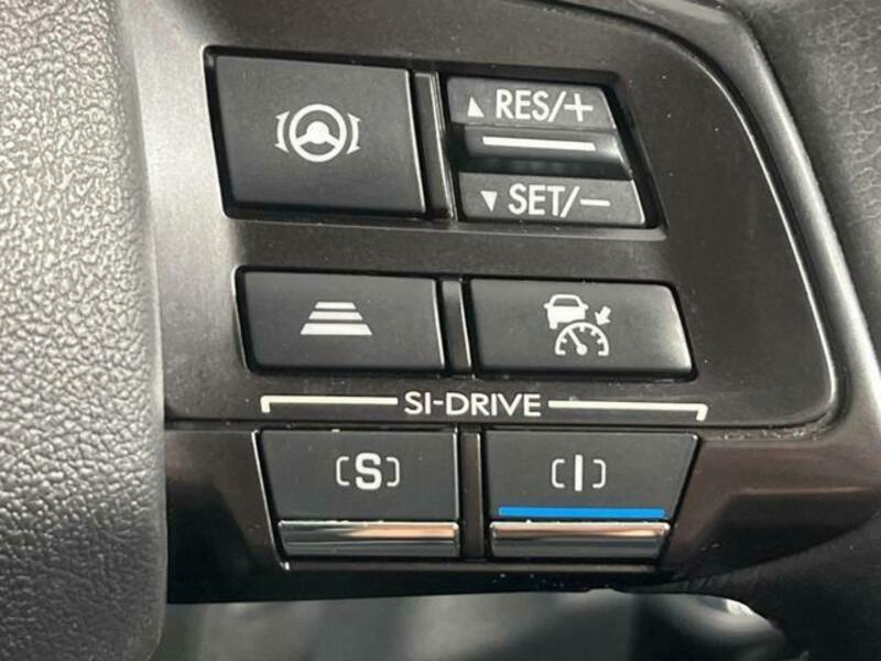 LEVORG-4