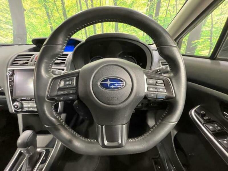 LEVORG-11