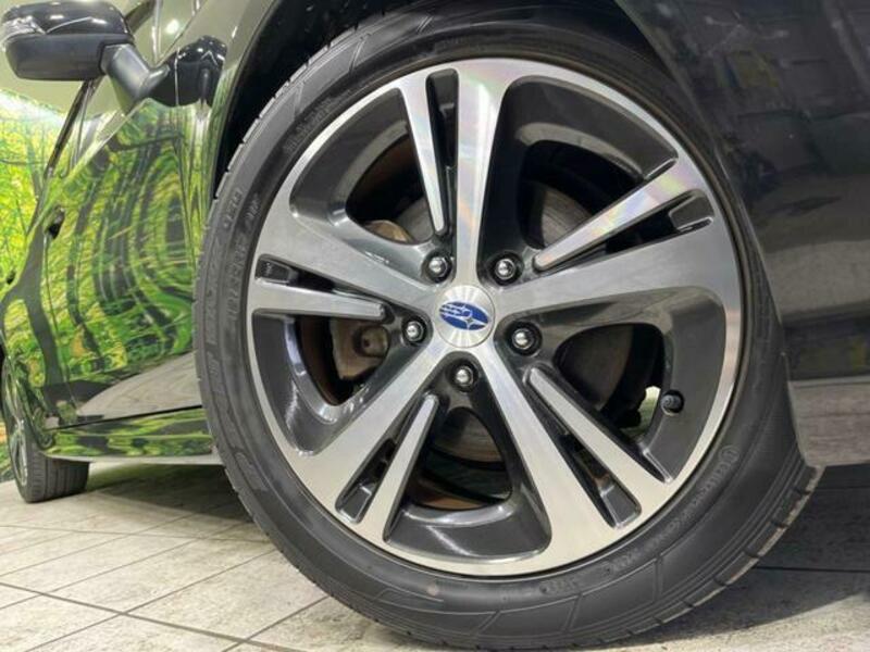 LEVORG-13