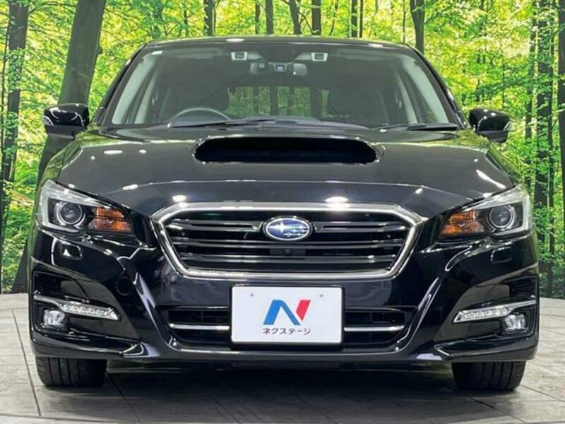 LEVORG-14