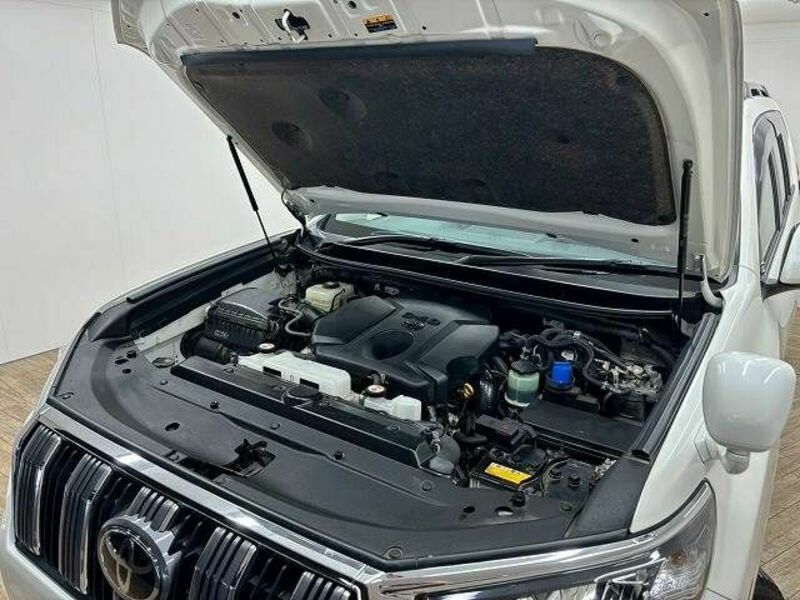 LAND CRUISER PRADO-17
