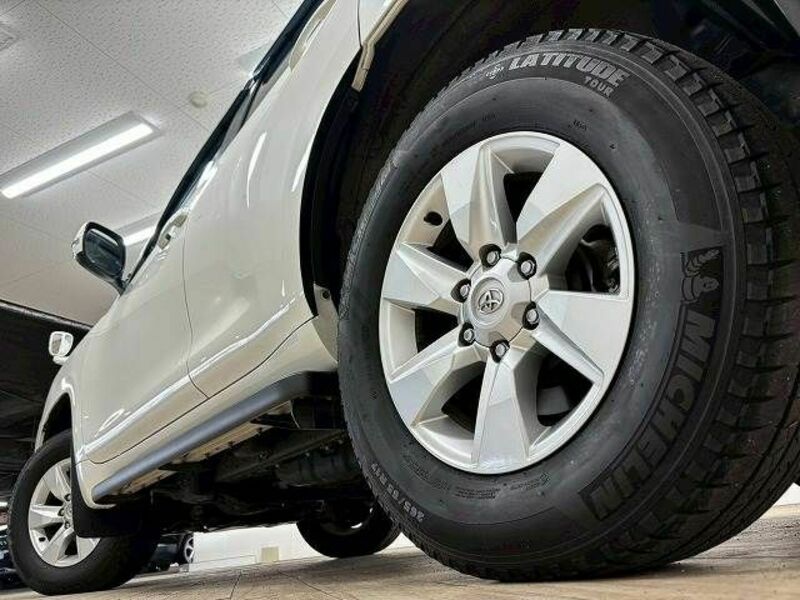 LAND CRUISER PRADO-18
