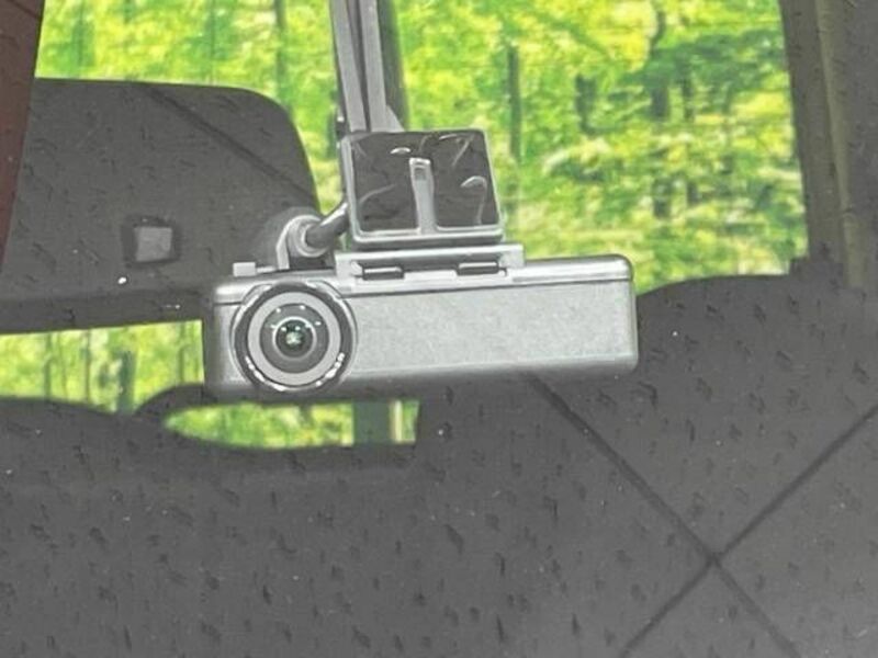 DAYZ ROOX-6