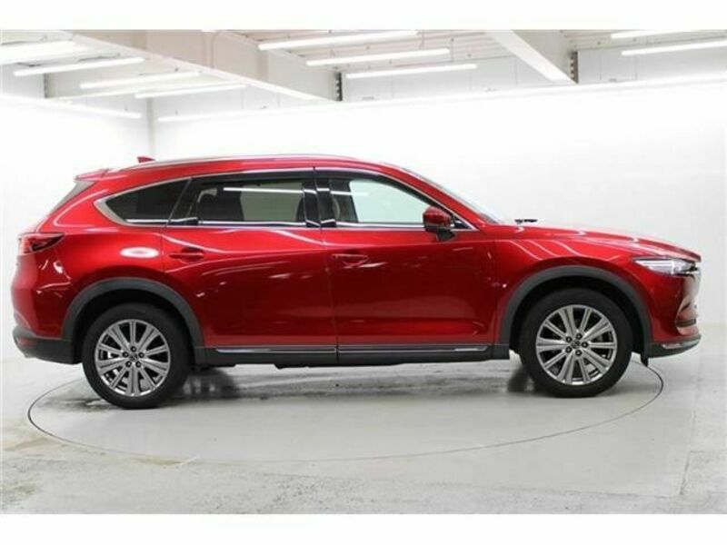 CX-8-6
