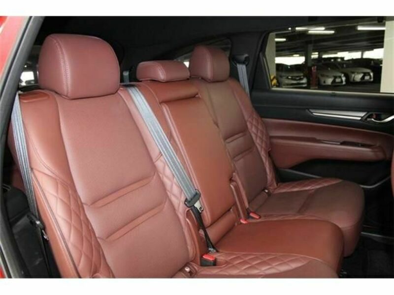 CX-8-13