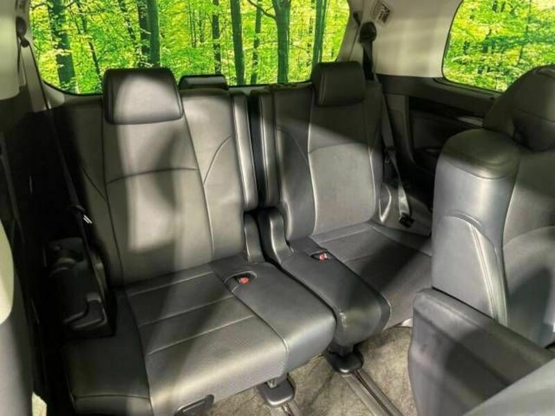 ALPHARD-9