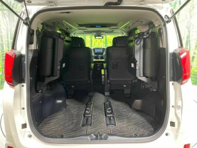 ALPHARD-10