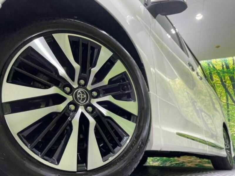 ALPHARD-13