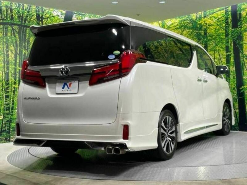 ALPHARD-17