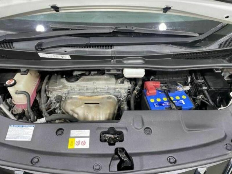 ALPHARD-18