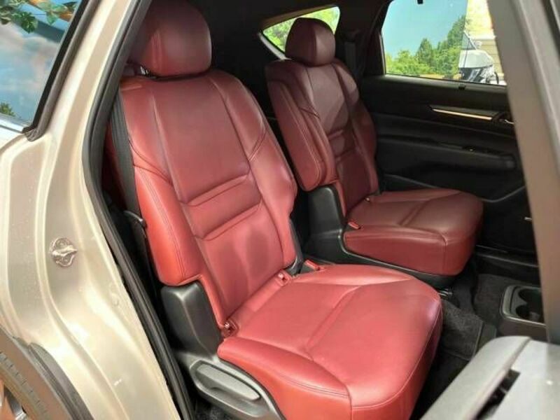 CX-8-11