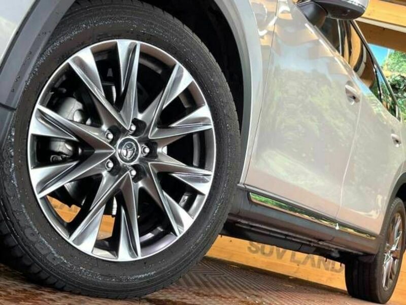 CX-8-15