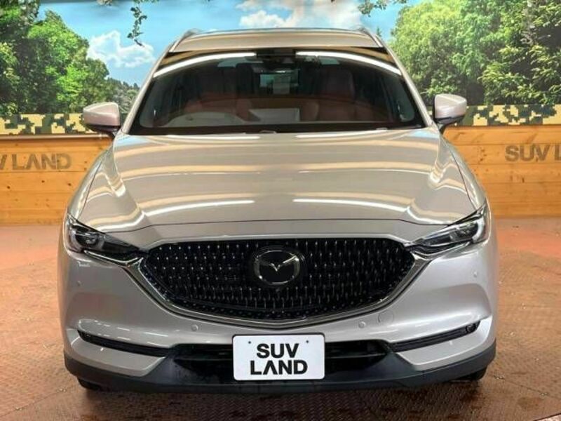 CX-8-16
