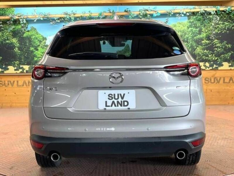 CX-8-17