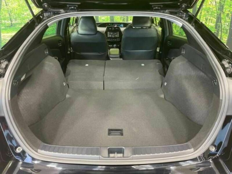PRIUS-10