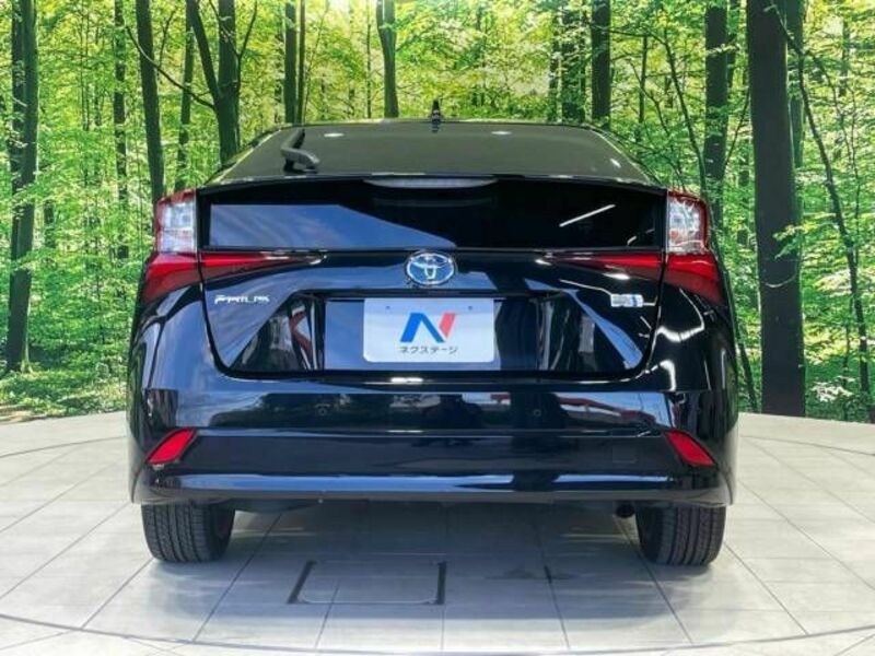 PRIUS-15