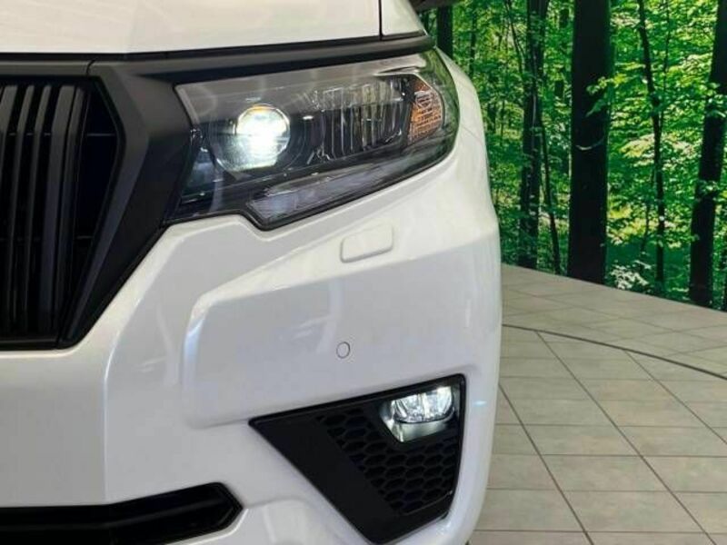 LAND CRUISER PRADO-13
