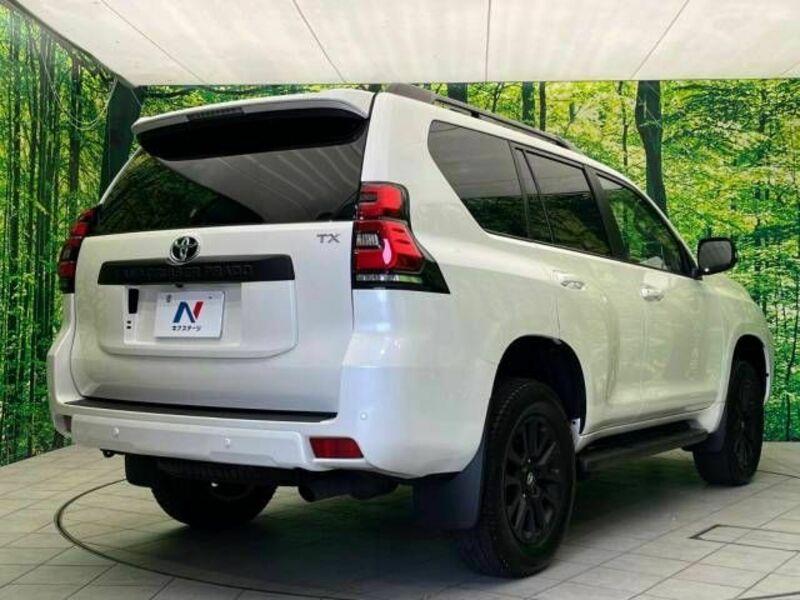 LAND CRUISER PRADO-18