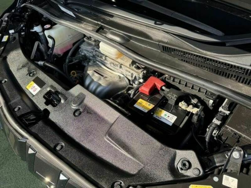 ALPHARD-17