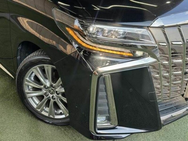 ALPHARD-19