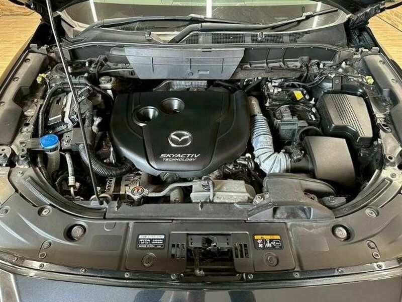 CX-8-17