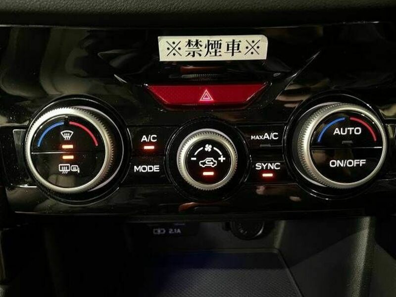 FORESTER-11