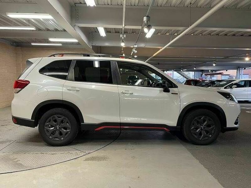 FORESTER-17