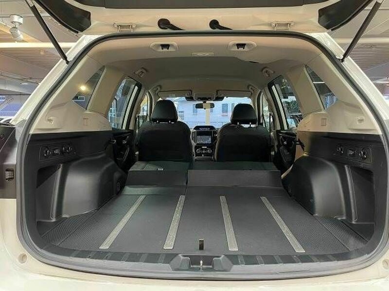 FORESTER-19