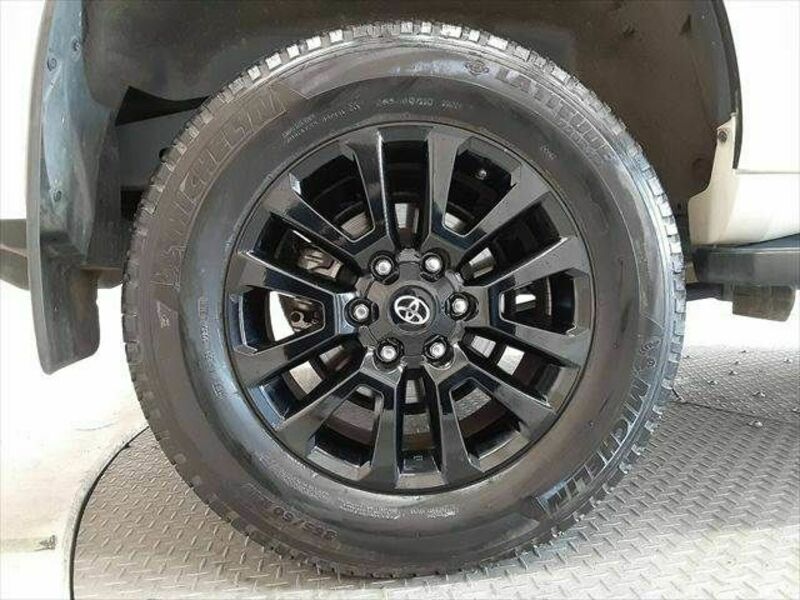 LAND CRUISER PRADO-29