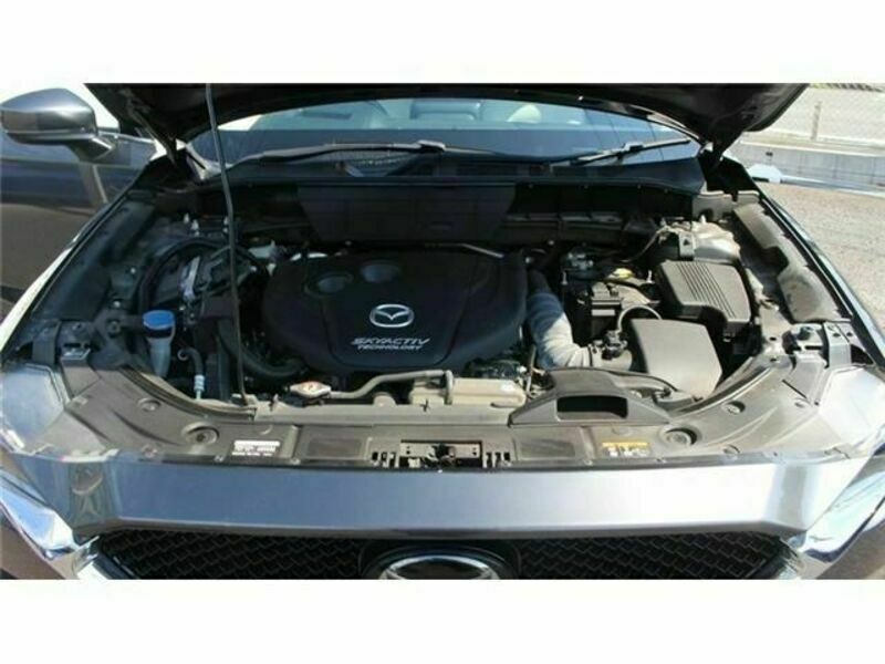 CX-5-18