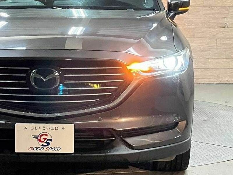 CX-8-11