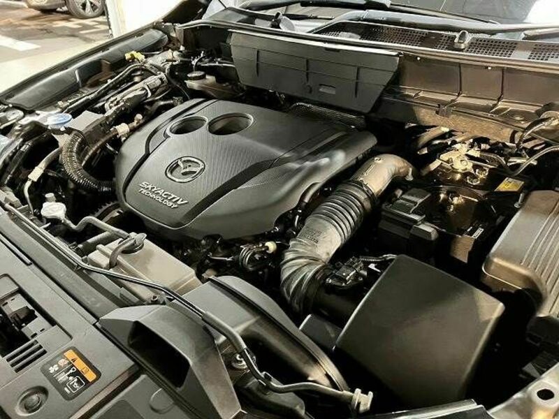 CX-8-13